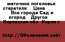 маточное поголовье старателя  › Цена ­ 3 700 - Все города Сад и огород » Другое   . Кировская обл.,Киров г.